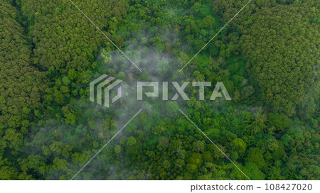 Aerial view green forest with morning fog, Misty landscape with green forest. Aerial view green forest with morning fog, Misty landscape with green forest. 108427020