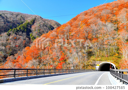 國道17號新三國隧道群馬縣側入口（群馬縣水上町） [2023.11] 108427585