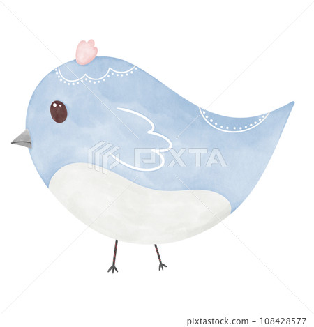 blue bird blue bird 108428577