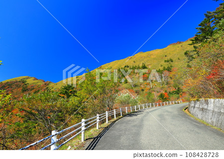 Autumn leaves along the UFO line on a clear day (Higashikuromoriyama) 108428728