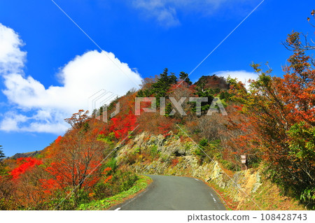 Autumn leaves on the UFO line under clear skies Autumn leaves on the UFO line under clear skies 108428743