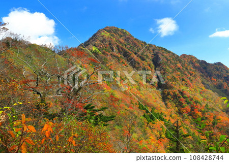 Autumn leaves on the UFO line under clear skies (Jinenko's head) Autumn leaves on the UFO line under clear skies (Jinenko's head) 108428744
