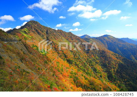 Autumn leaves on the UFO line under clear skies (Jinenko's head) Autumn leaves on the UFO line under clear skies (Jinenko's head) 108428745