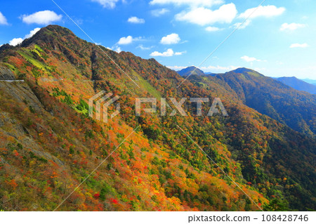 Autumn leaves on the UFO line under clear skies (Jinenko's head) 108428746