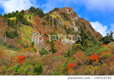 Autumn leaves in Kagegamori on a clear day 108428748