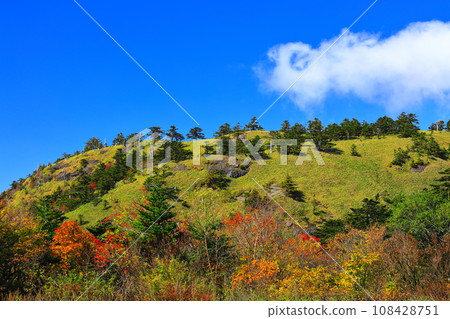 Autumn leaves in Kagegamori on a clear day Autumn leaves in Kagegamori on a clear day 108428751