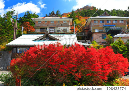 [愛媛郡]石錘山泥屋露臺上的紅葉 108428774