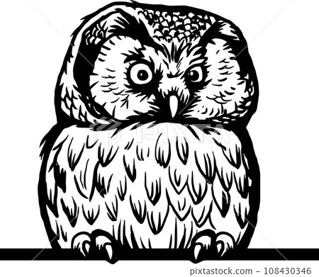 Peeking Owl - Funny Funny Peek Animal - face head isolated on white Peeking Owl - Funny Funny Peek Animal - face head isolated on white 108430346