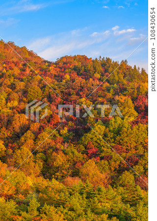 秋天的富士山和紅葉的壯麗景色 108430654