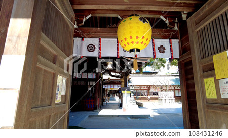 Kushida Shrine in Fukuoka Kushida Shrine in Fukuoka 108431246
