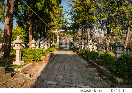 The approach to Mio Shrine lined with lanterns, Otsu City 108431313