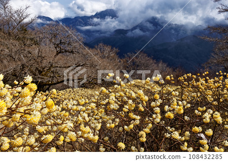丹澤山脈、攝津權現山、三俁社區和雲霧繚繞的檜木丸山脊線 108432285
