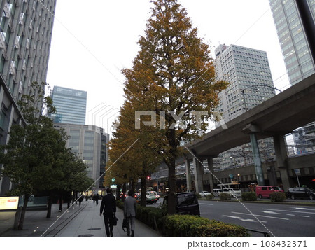 東京站丸之內口和銀杏樹 108432371