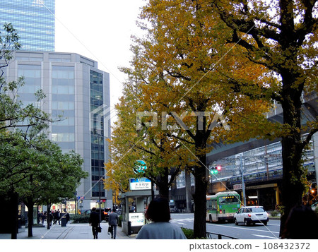 東京站丸之內口和銀杏樹 108432372