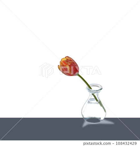 玻璃瓶裡的一朵花 108432429