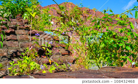 Scenery of flower bed with bricks Scenery of flower bed with bricks 108432468