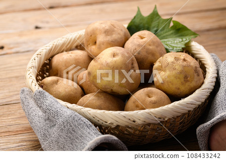 Potato Danshaku potato Potato Danshaku potato 108433242