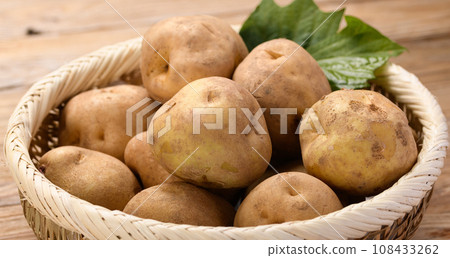 Potato Danshaku potato Potato Danshaku potato 108433262
