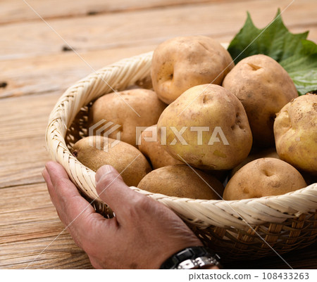 Potato Danshaku potato Potato Danshaku potato 108433263