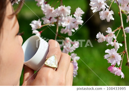 A woman enjoying sake under the cherry blossoms 108433995