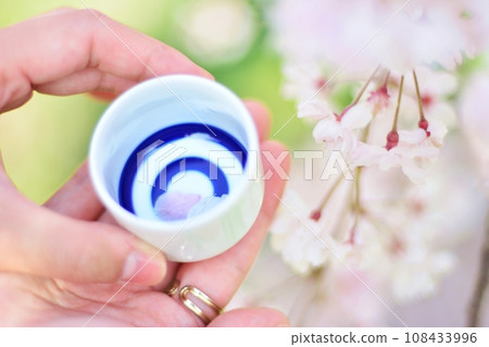 Close-up of a woman's hand holding a choko with cherry blossoms and sake Close-up of a woman's hand holding a choko with cherry blossoms and sake 108433996