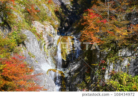 鴨鹿瀑布 秋葉 白山白川鄉 白路 石川縣 108434972