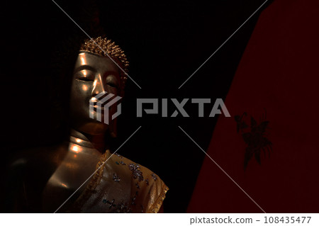 您欣賞的人的雕像肖像 您欣賞的人的雕像肖像 108435477