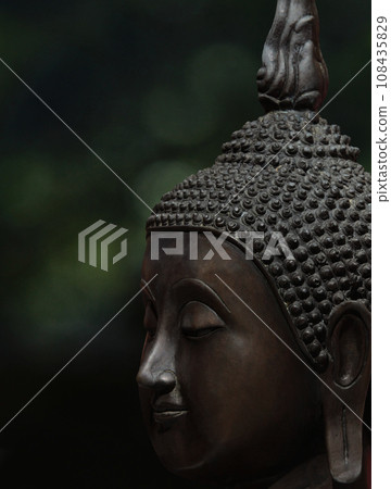 您欣賞的人的雕像肖像 108435829