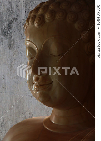 Statue portrait of someone you admire 108435830