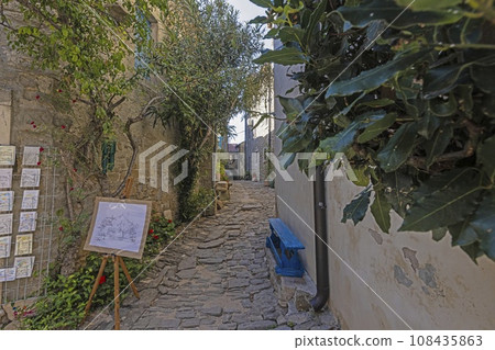 Picture from the town of Groznjan with idyllic cobbled streets and buildings made of natural stone 108435863