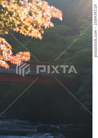 Bridge over the valley and autumn leaves starting to change color 108436119