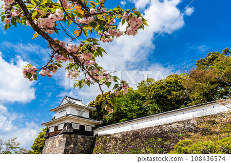 Omura Zakura in Omura Park [Omura City, Nagasaki Prefecture] 108436574