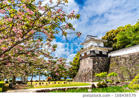 Omura Zakura in Omura Park [Omura City, Nagasaki Prefecture] 108436579