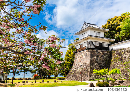 Omura Zakura in Omura Park [Omura City, Nagasaki Prefecture] 108436580