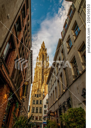 bottom view of the gothic Cathedral of Our Lady in Antwerp bottom view of the gothic Cathedral of Our Lady in Antwerp 108436650
