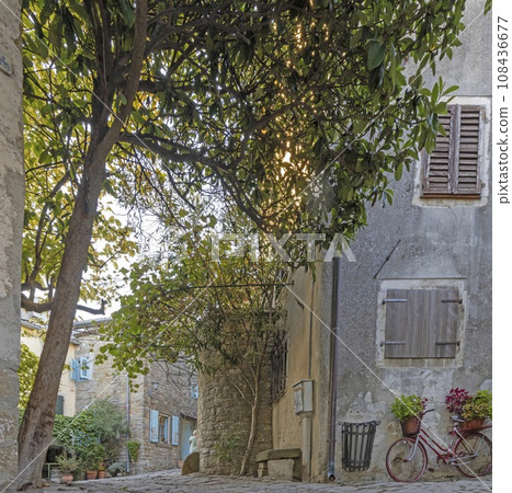 Picture from the town of Groznjan with idyllic cobbled streets and buildings made of natural stone Picture from the town of Groznjan with idyllic cobbled streets and buildings made of natural stone 108436677