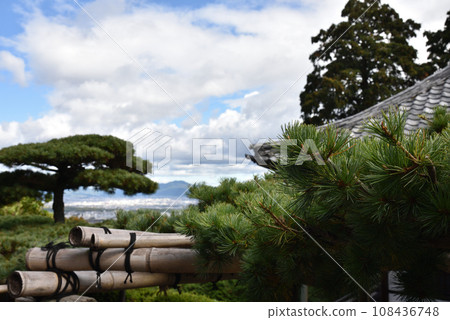 吉峰寺 湯龍之松 [天然紀念物] 108436748