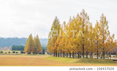 赤穗郡江東的紅葉風景 108437026