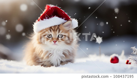 Cute furry kitten in a red Santa Claus hat on bokeh Christmas background 108437195