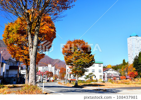 Naeba cityscape/looking towards Naeba ski resort (Yuzawa Town, Niigata Prefecture) [2023.11] 108437981