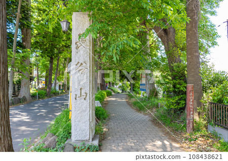 千葉縣松戶市新綠季節的大陸寺（繡球寺） 108438621