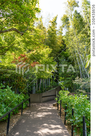 Matsudo City, Chiba Prefecture - View of the grounds of Hondoji Temple, famous for its hydrangeas Matsudo City, Chiba Prefecture - View of the grounds of Hondoji Temple, famous for its hydrangeas 108438656