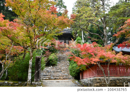 Autumn leaves at Jingoji Temple in Takao, Kyoto Autumn leaves at Jingoji Temple in Takao, Kyoto 108438765
