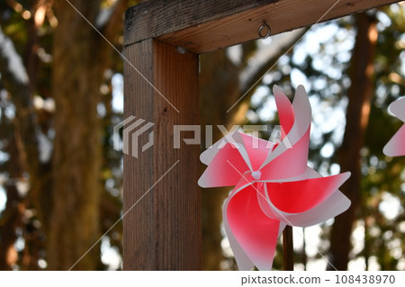 Beautiful red windmills displayed at Kumano Taisha Shrine in winter during bright daytime 108438970
