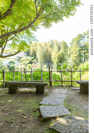 千葉縣松戶市：以繡球花聞名的大陸寺景觀 108439361