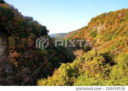 Kusuikei in Kokonoe with its beautiful autumn leaves 108439538