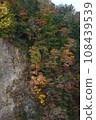Kusuikei in Kokonoe with its beautiful autumn leaves 108439539