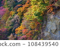Kusuikei in Kokonoe with its beautiful autumn leaves 108439540