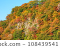 Kusuikei in Kokonoe with its beautiful autumn leaves 108439541