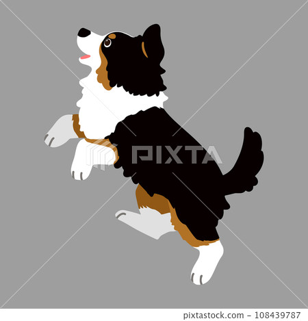 Hand-drawn illustration of a jumping black Australian Shepherd without main lines 108439787